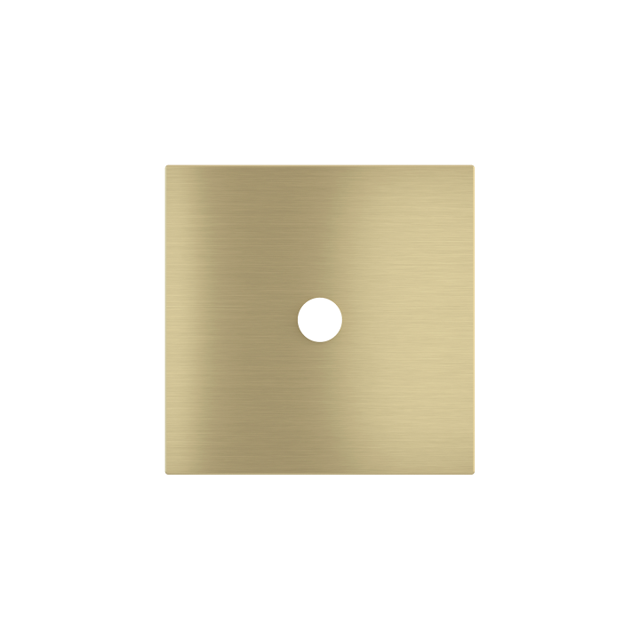 Square magnetic plate for a 1-rocker push button Proxima series Metal Brass