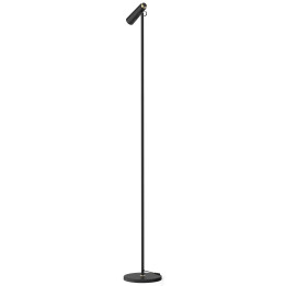 Immax TIT LED Floor Lamp, White with Silver Elements CCT 08993L