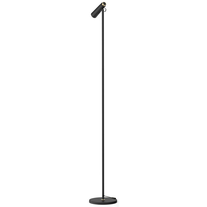 Immax TIT LED Floor Lamp, White with Silver Elements CCT 08993L