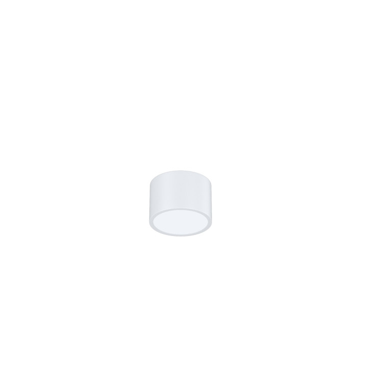Immax NEO RONDATE Smart Ceiling Light 15cm 12W White Zigbee 3.0 07024L-15