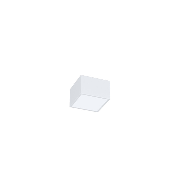 Immax NEO CANTO Smart Ceiling Light 15x15cm 12W White Zigbee 3.0