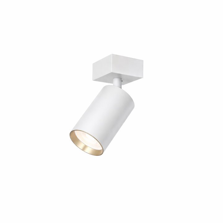Immax 08316L PUNTO-1 Surface-Mounted Ceiling/Wall Light GU10 White
