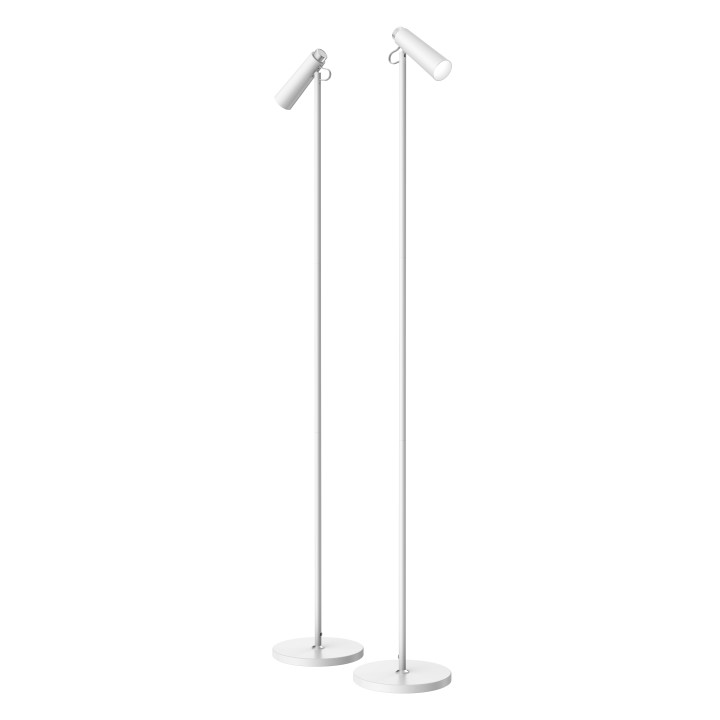 Immax TIT LED Floor Lamp, White with Silver Elements, CCT 08992L