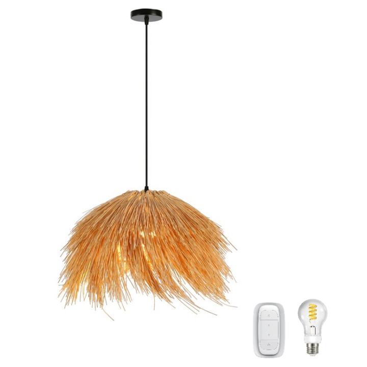 Immax BOHO NATURALEZA Complete Smart Ceiling Light 55cm + E27 Bulb + Remote Control