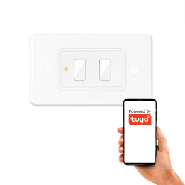 Пульт дистанционного управления сценами, 2 канала, 6 программ, серия LR, ZigBee Home Assistant TUYA