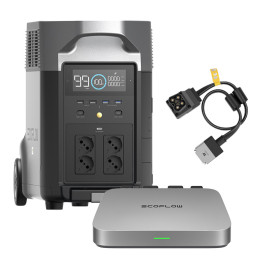 EcoFlow Delta Pro + PowerStream 800W Microinverter Bundle (052460)