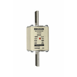 NH fuse-link gG, 500VAC, size 2, 300A double indicator/live tags