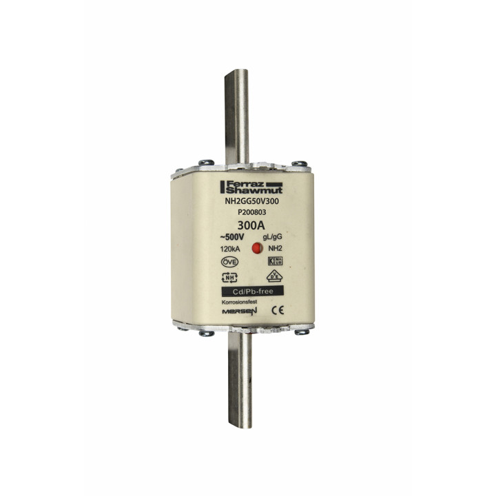 NH fuse-link gG, 500VAC, size 2, 300A double indicator/live tags