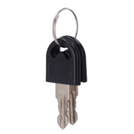 TURBOO TS-SP-KEYS Spare Keys for Turnstile