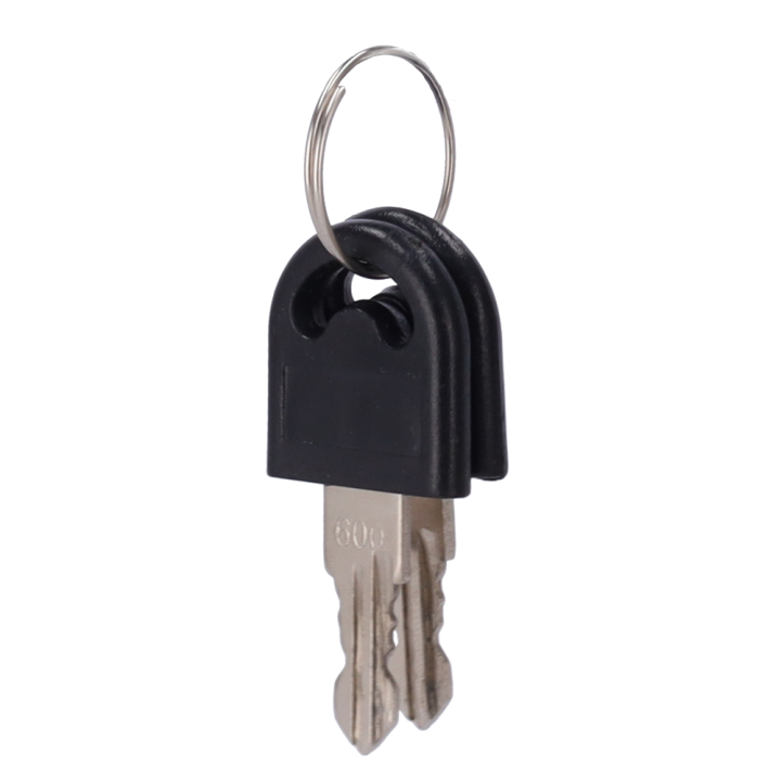 TURBOO TS-SP-KEYS Spare Keys for Turnstile