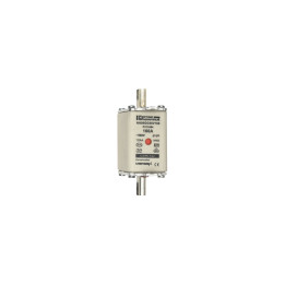 NH fuse-link gG, 500VAC, size 00, 160A double indicator/live tags