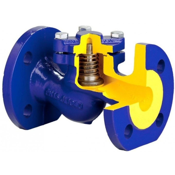 Check valve FIG.287/31 DN 80 PN 16