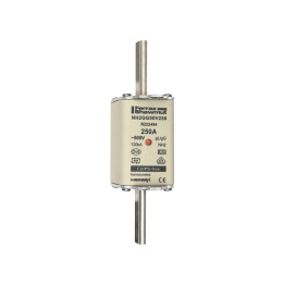 NH fuse-link gG, 500VAC, size 2, 250A double indicator/live tags