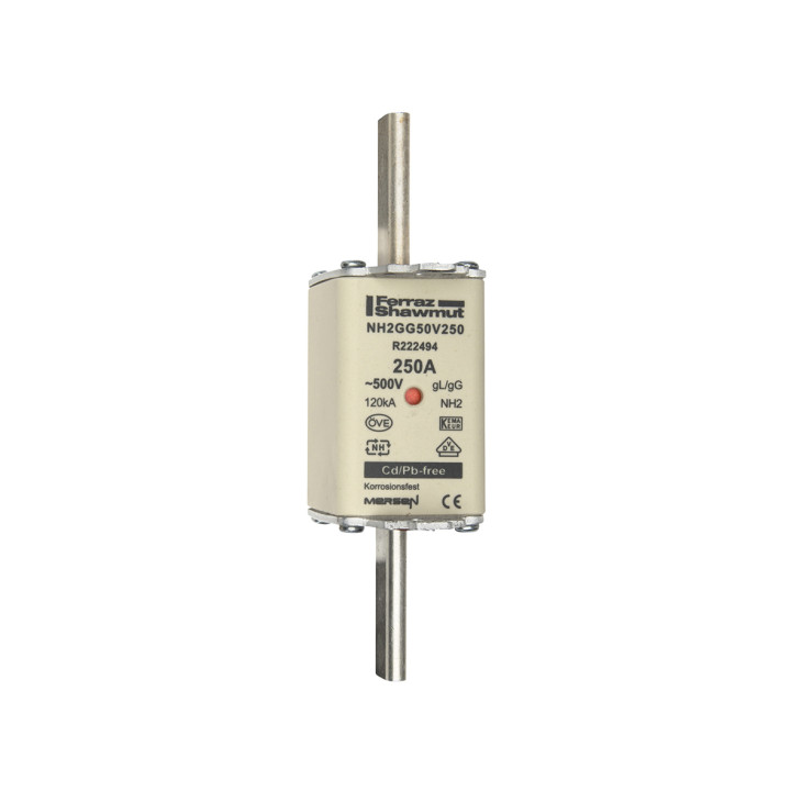 NH fuse-link gG, 500VAC, size 2, 250A double indicator/live tags