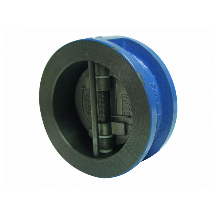 Check Valve DN200 GG25 Dual Disc Spring-Loaded Stainless Steel