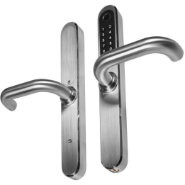 Door handle with access controller EURA ELH-30H4 Silver