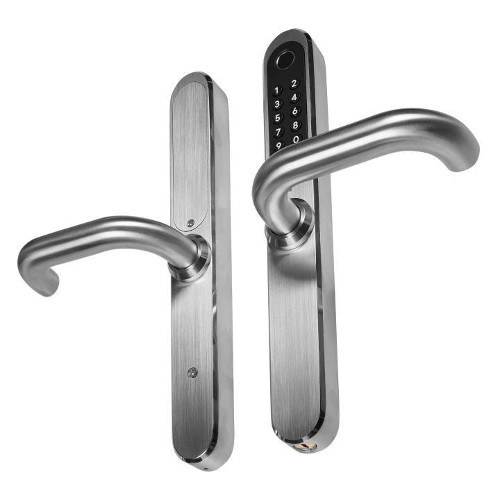 Door handle with access controller EURA ELH-30H4 Silver