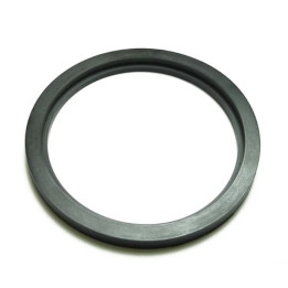 NIOB ALO516 EPDM Seal Ring 63.5mm SMS