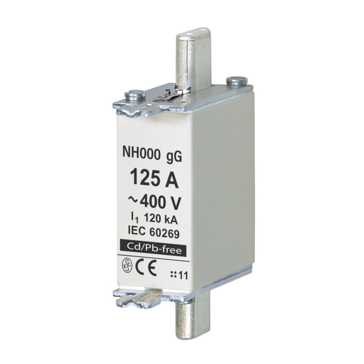 NH000 gG 125A/400V fuse link