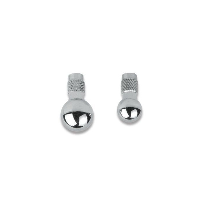 Stainless steel ball-shaped head SAUTER AC 02