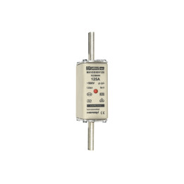 NH fuse-link gG, 500VAC, size 1, 125A double indicator/live tags