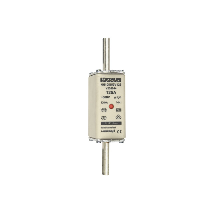 NH fuse-link gG, 500VAC, size 1, 125A double indicator/live tags
