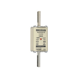 NH fuse-link gG, 500VAC, size 2, 160A double indicator/live tags