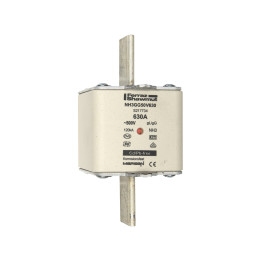 NH fuse-link gG, 500VAC, size 3, 630A double indicator/live tags