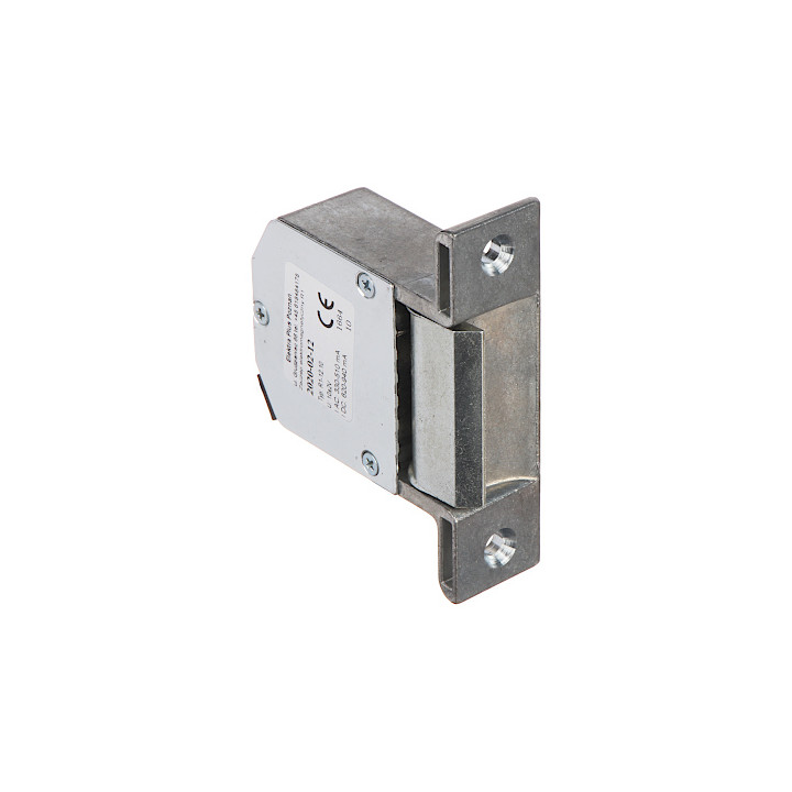 Electromagnetic Lock R1-12.10