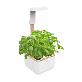 Veritable Botaneo Eylo flowerpot
