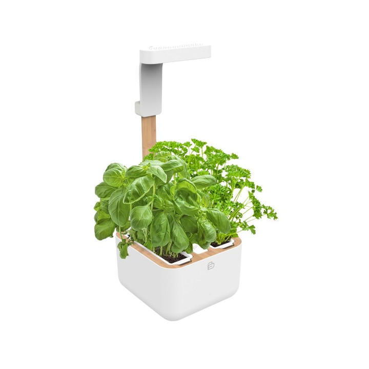 Veritable Botaneo Eylo flowerpot