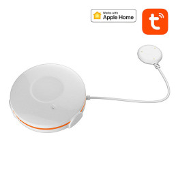 NEO NAS-WS02BH Smart Water Sensor HomeKit, ZigBee TUYA