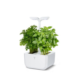 Veritable Exky Classic Flower Pot