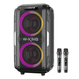 Беспроводная Bluetooth-колонка W-KING T9 Pro 120 Вт + 2 микрофона (черная)