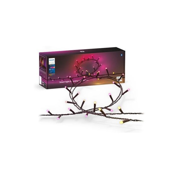 Philips Hue Holiday garland 500