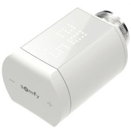 Somfy Thermostatic head 1870508