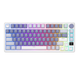 Kabellose mechanische Tastatur Royal Kludge RKM75 RGB, Silberschalter (blau)