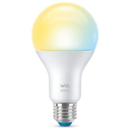 WiZ,Bulb,13W,2700-6500,A67,E27,1 pcs lightsource