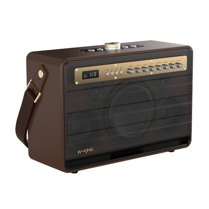 Беспроводная Bluetooth-колонка W-KING K6L 120 Вт + 2 микрофона (коричневая)