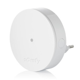 Удлинитель радиоприемника Somfy Protect 1870390