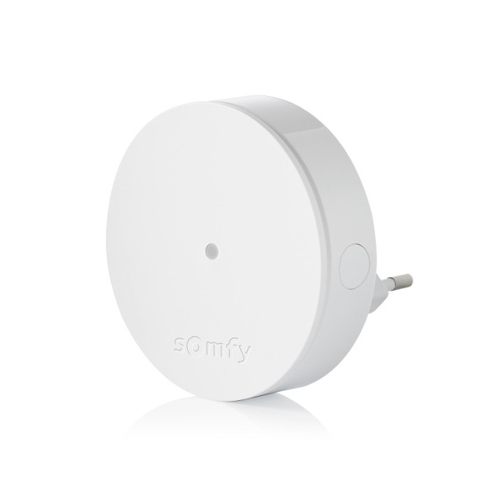 Удлинитель радиоприемника Somfy Protect 1870390