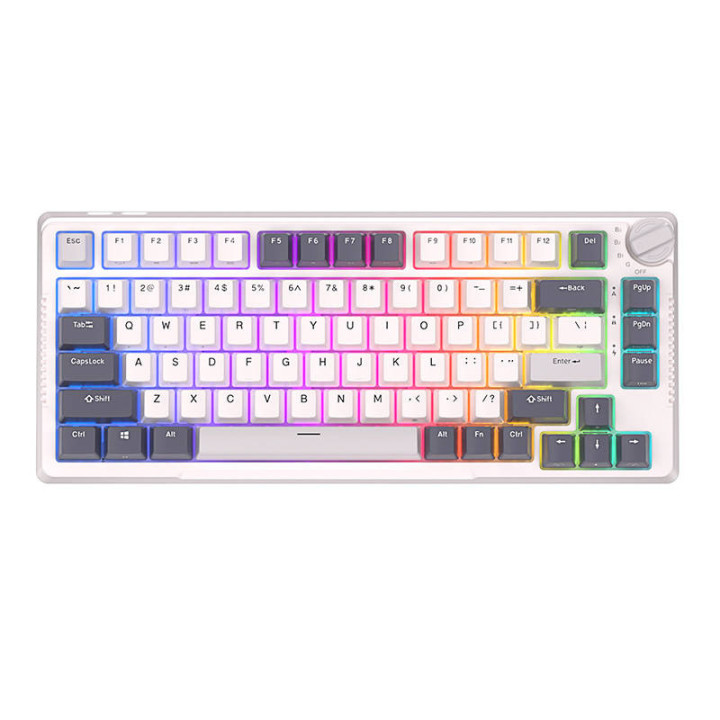Mechanische Tastatur Royal Kludge RKH81 RGB, Sky-Cyan-Schalter (weiß)