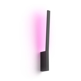 Philips Hue Liane black 1x12W 24V
