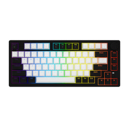 Проводная клавиатура Dareu EK75 RGB (черно-белая)