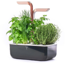 Veritable Doniczka Smart Black&amp;Copper