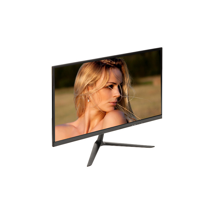 МОНИТОР VGA, HDMI VM-2411W-P 23,8"