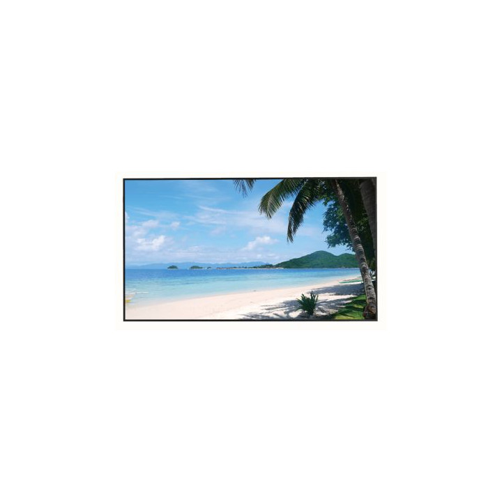 MONITOR HDMI, DP, VGA, AUDIO, USB, RJ45 LM49-S400 49" - 4K UHD DAHUA