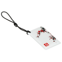 RFID RAKTŲ PAKABUKAS SU GRAFIKA ATLO-K4PID
