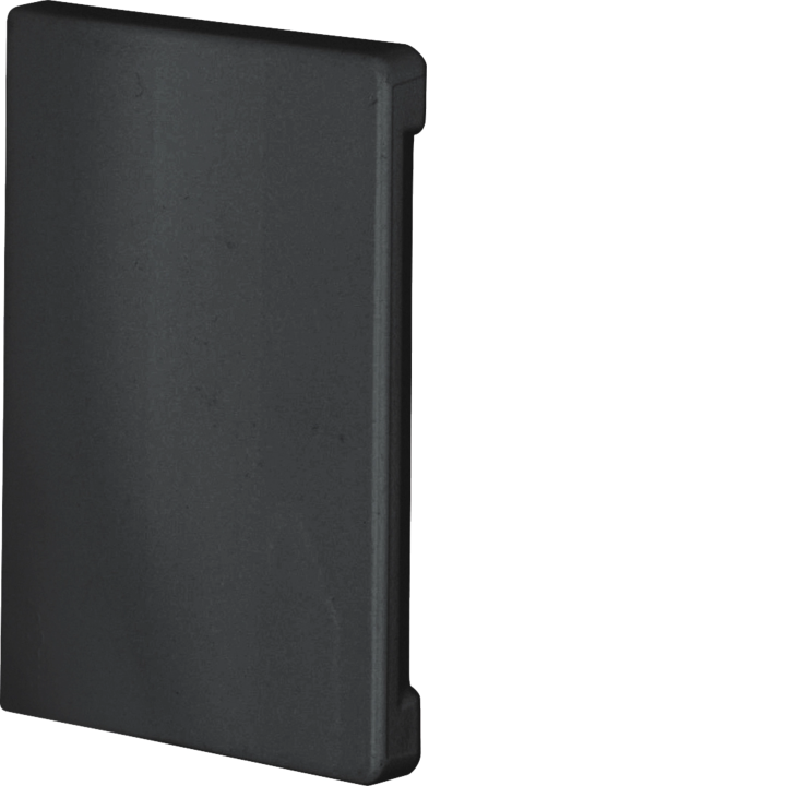Hager BRP6510069011 End Cap, Black
